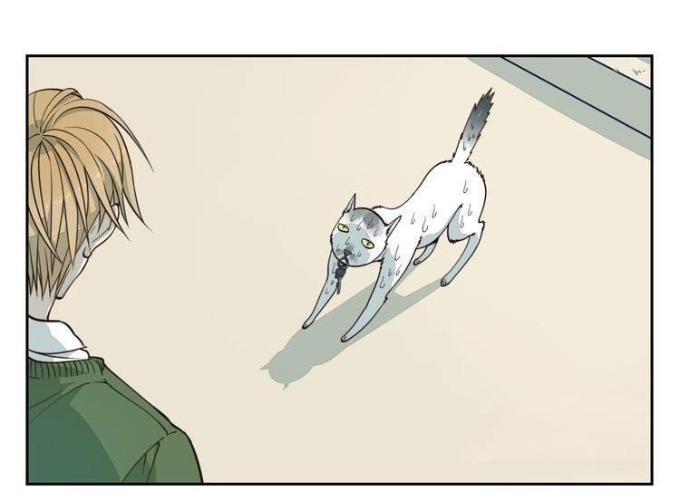 thời khắc ấy, chúng ta gặp nhau chapter 2 15