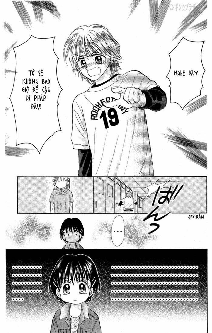 penguin brothers chapter 19 25