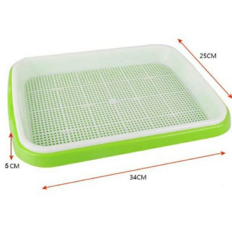 Combo 5 khay trồng rau mầm tiện dụng