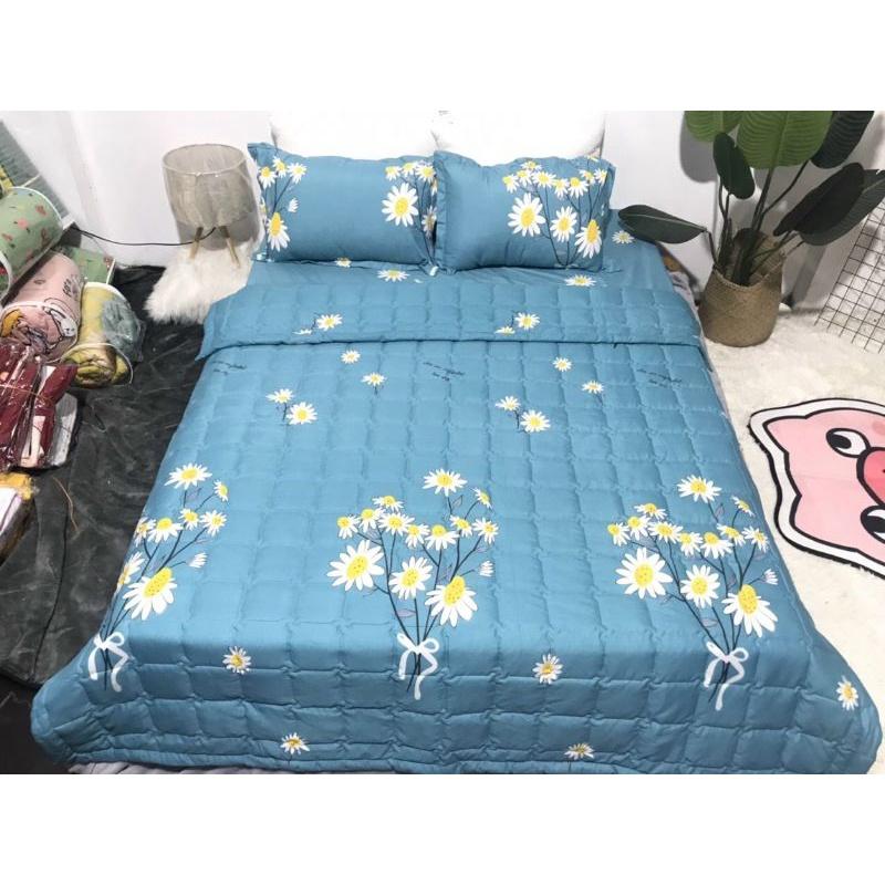 Bộ Chăn Ga Gối Cotton Poly Hè