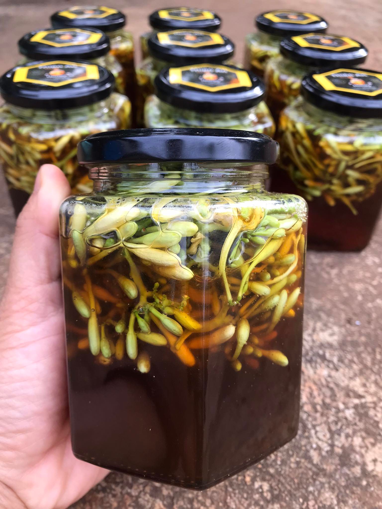 Gừng Sẻ ngâm Mật Ong Rừng Đaklak- Hũ Thủy Tinh 500ml