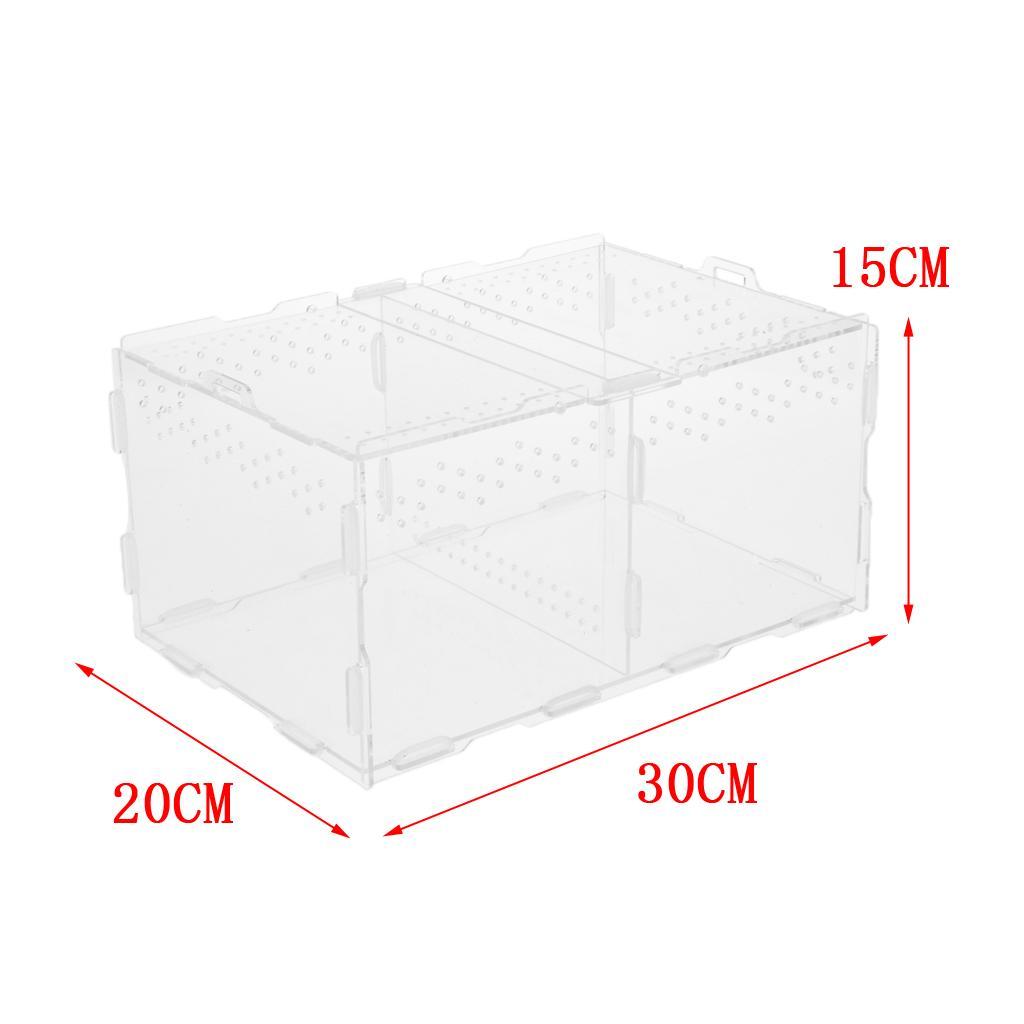 Acrylic Feeding Container Breeding Box An Room for Reptile