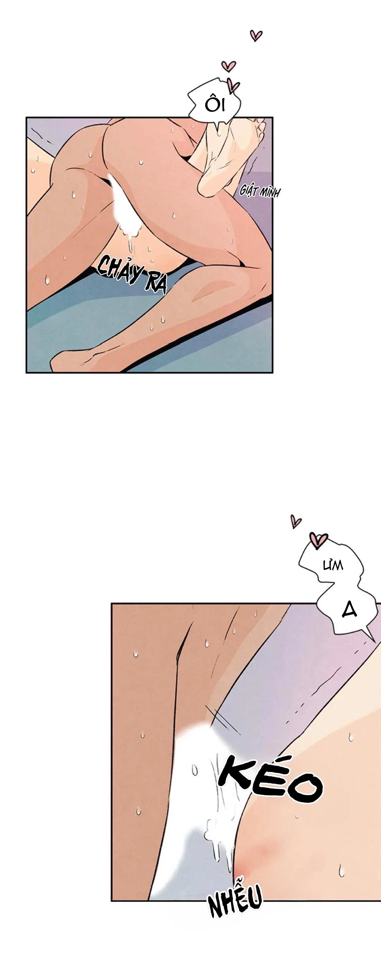 bona sort chapter 20 20