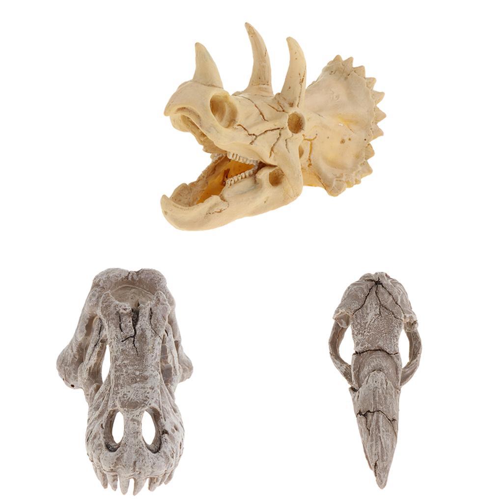 Reptile Vivarium Decoration Terrarium DIY Landscaping Skull