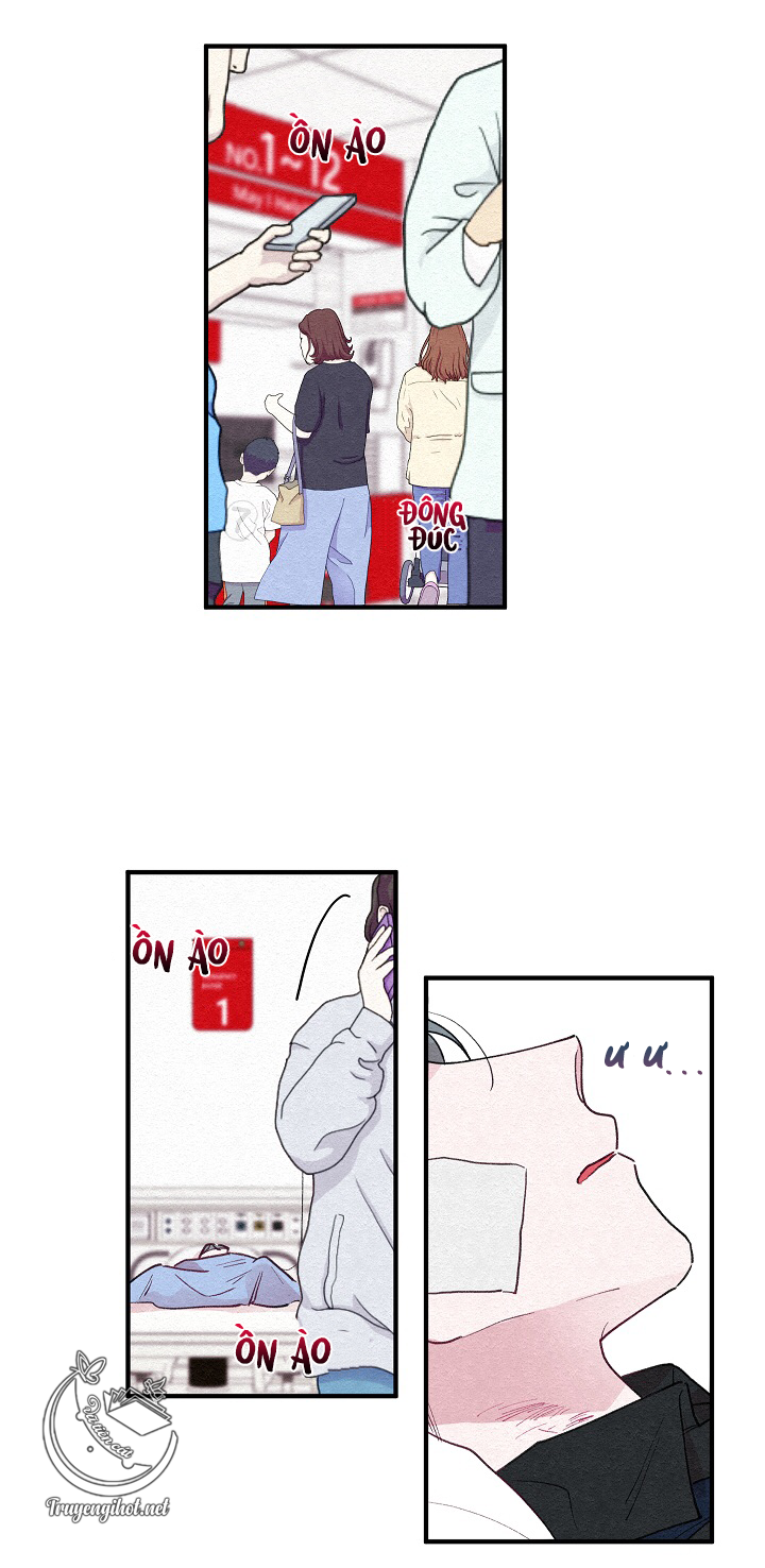 [bl19+] hoa không nở chapter 3 4