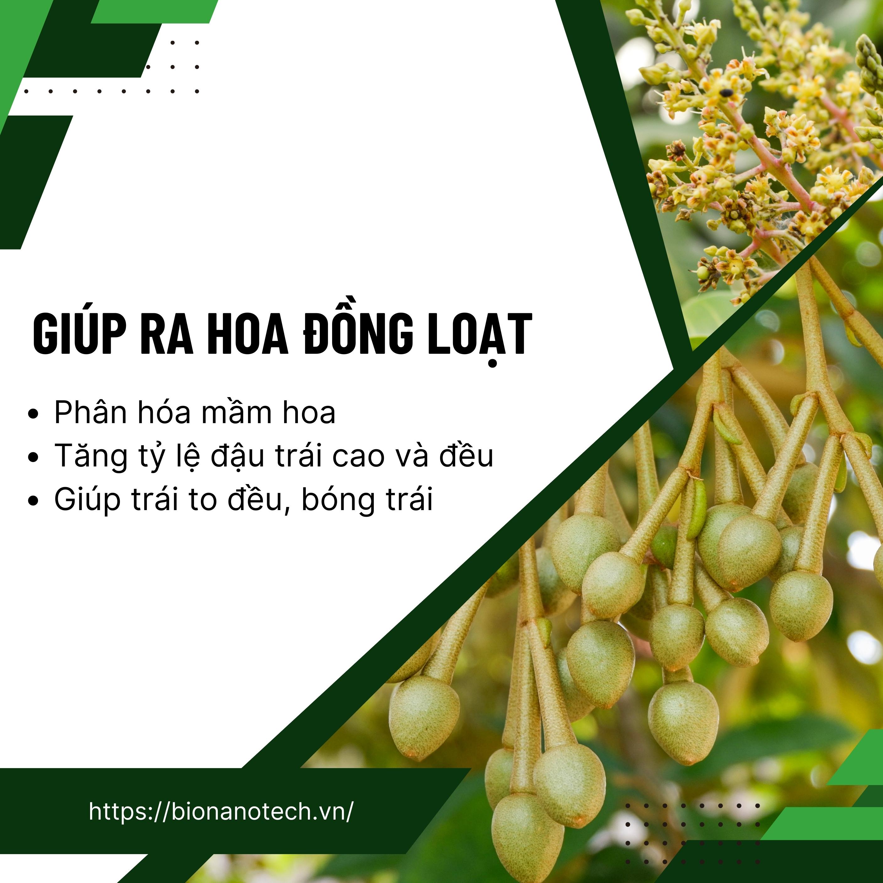 Phân bón lá vi lượng Super-Thives Plus CANXI BO KẼM giúp trái to đều, tăng tỷ lệ đậu trái và tăng sức đề kháng cho cây trồng