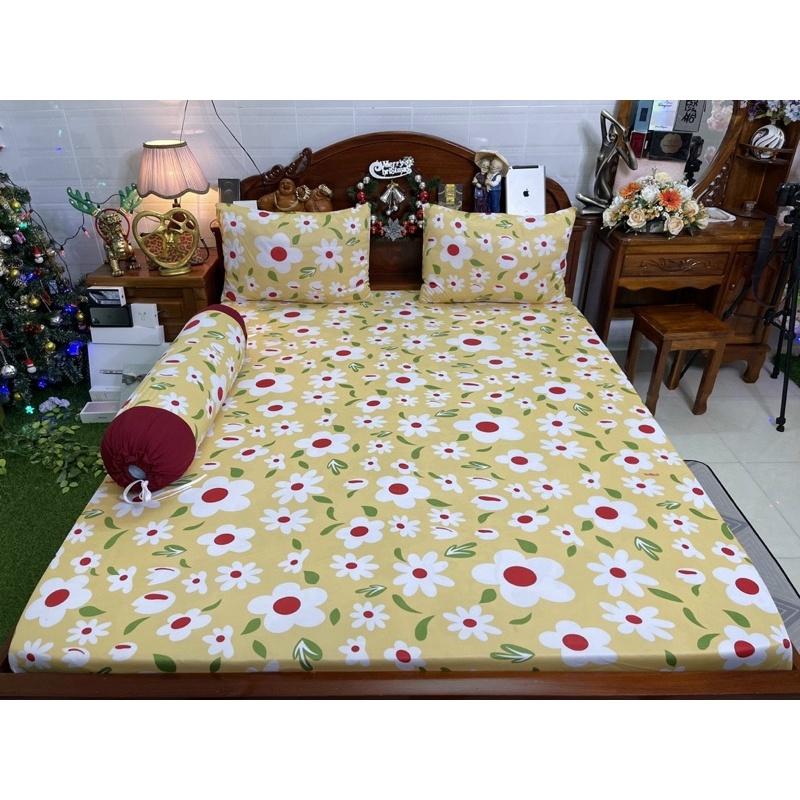 Drap thun hàn quốc