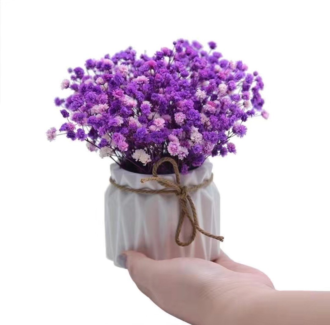 Hoa khô, bình hoa baby khô mini 20cm để bàn học, bàn làm việc, kệ tủ trang trí nhà cửa đẹp tự nhiên HK-01