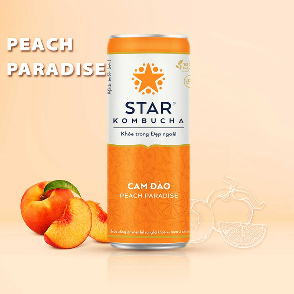 Combo 3 thùng trà lên men Star Kombucha mix 12 vị