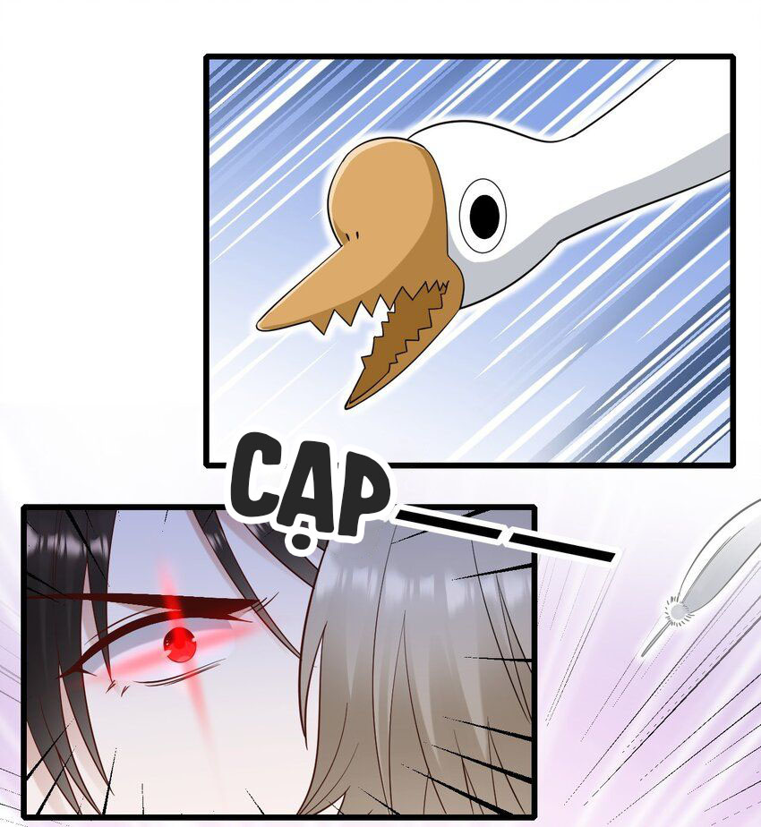 tức thời phạm quy [ tức thì vi quy ] chapter 62 37