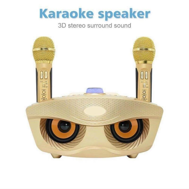 Loa Karaoke Bluetooth Hát Hay SD 306 - Loa Hát Siêu Hay Kèm 2 Micro Không Dây- Dòng Loa 2 Micro Giá Rẻ