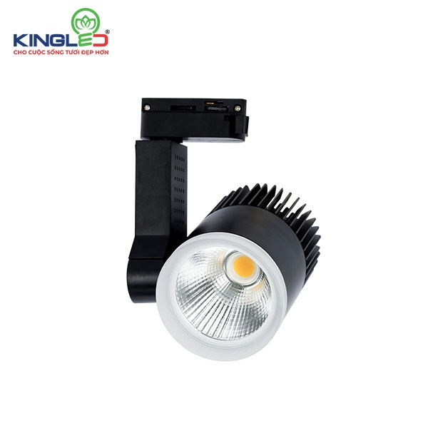 Đèn Led Rọi Ray 30W Beryl (DTL-30SS) KINGLED - Trắng