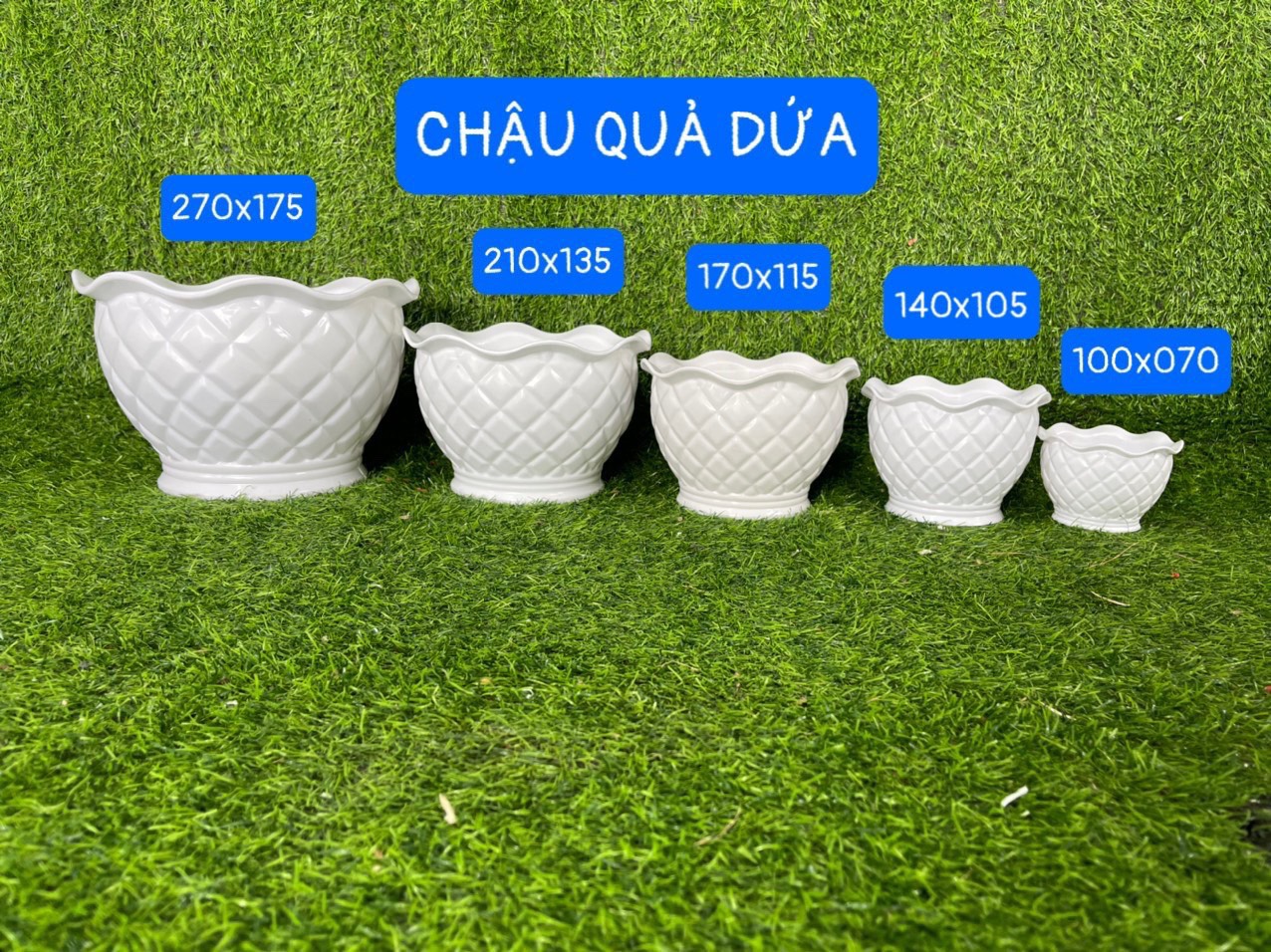 5 Chậu nhựa hình trái dứa trồng cây sen đá, xương rồng kt 10 x 7 cm