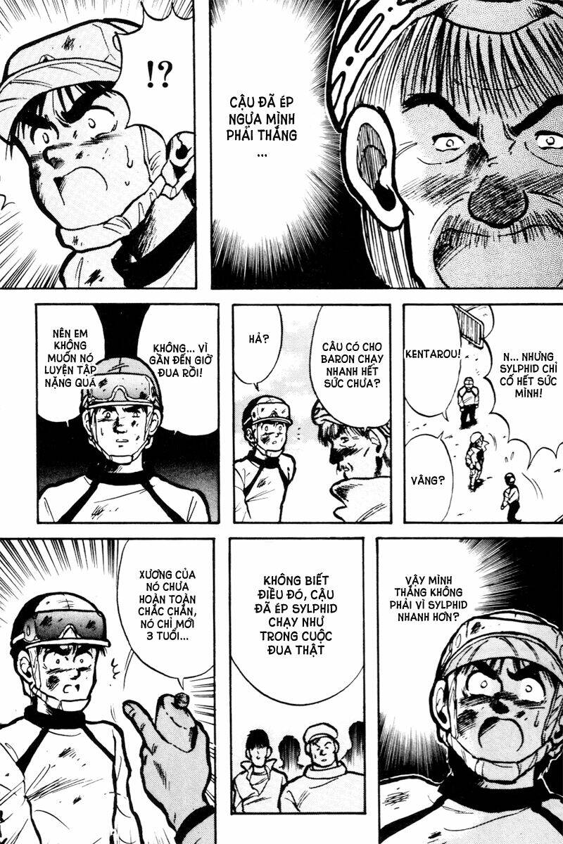 kaze no sylphid - phong mã silphid chapter 12 19