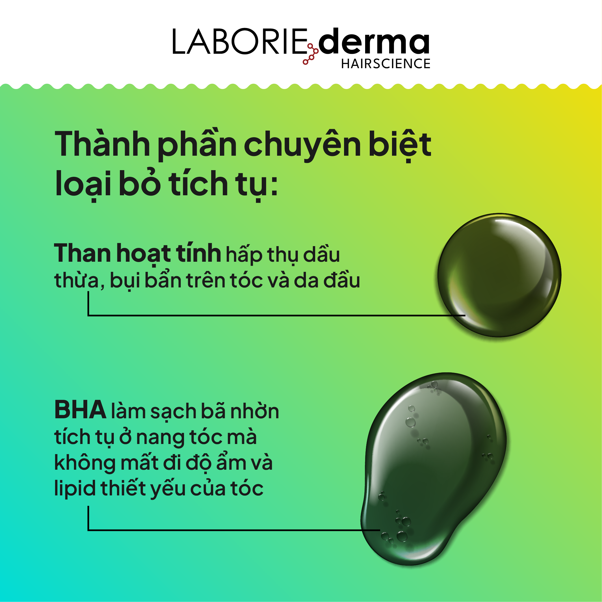 Dầu gội thải độc, loại bỏ tích tụ hoá chất LABORIE derma Detox Shampoo 250ml