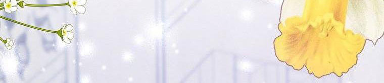 xin hãy kết hôn với em chapter 37 491