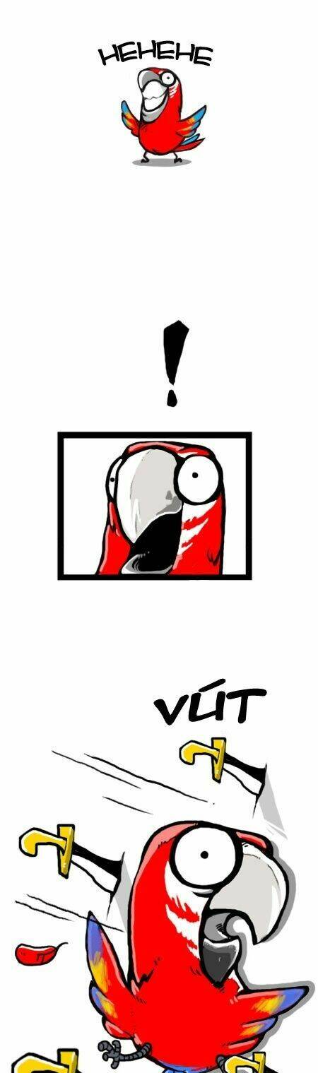 earth, human, and animal chapter 11 4