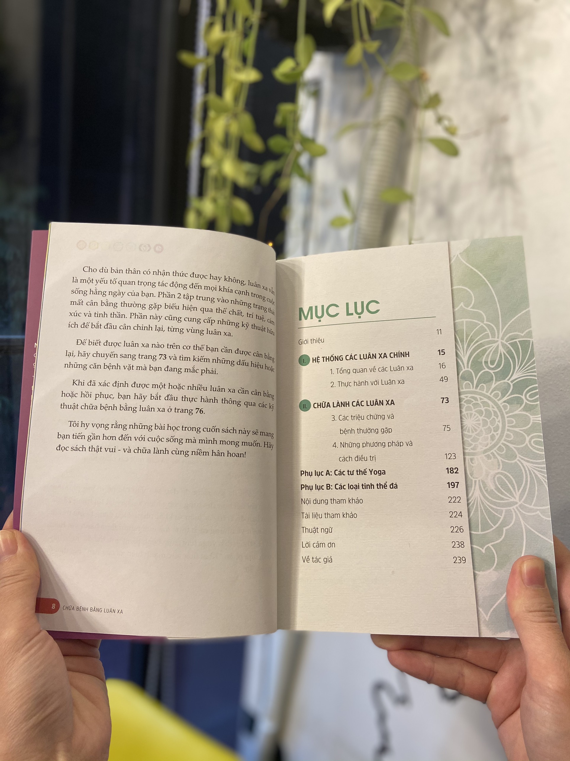 Sách - Chữa bệnh bằng luân xa - Hướng dẫn Cơ bản các Kĩ thuật Tự phục hồi bằng phương pháp Cân bằng Luân Xa