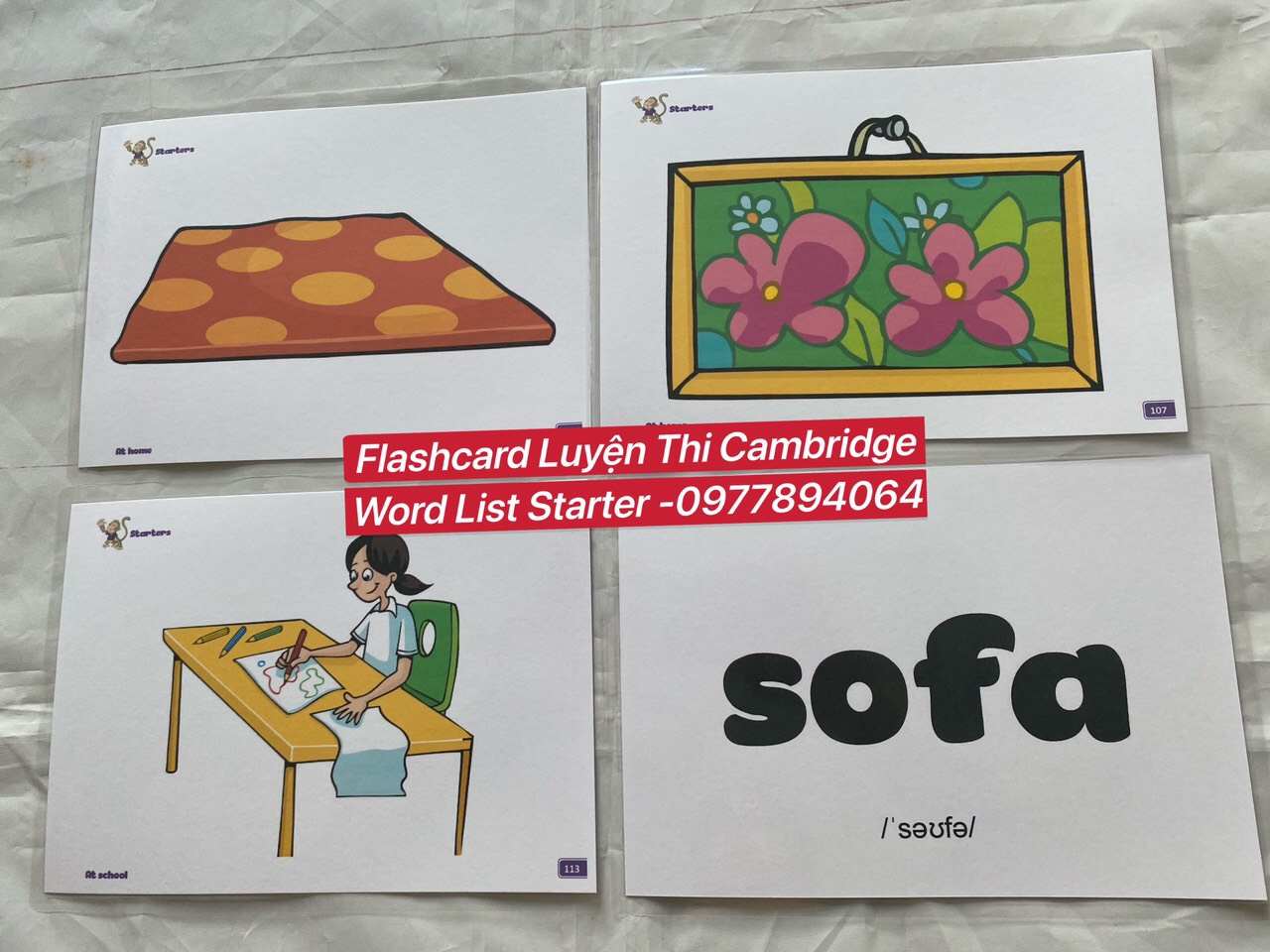 Flashcard tự vựng luyện thi CAMBRIDGE STARTER (214 thẻ ép plastic)