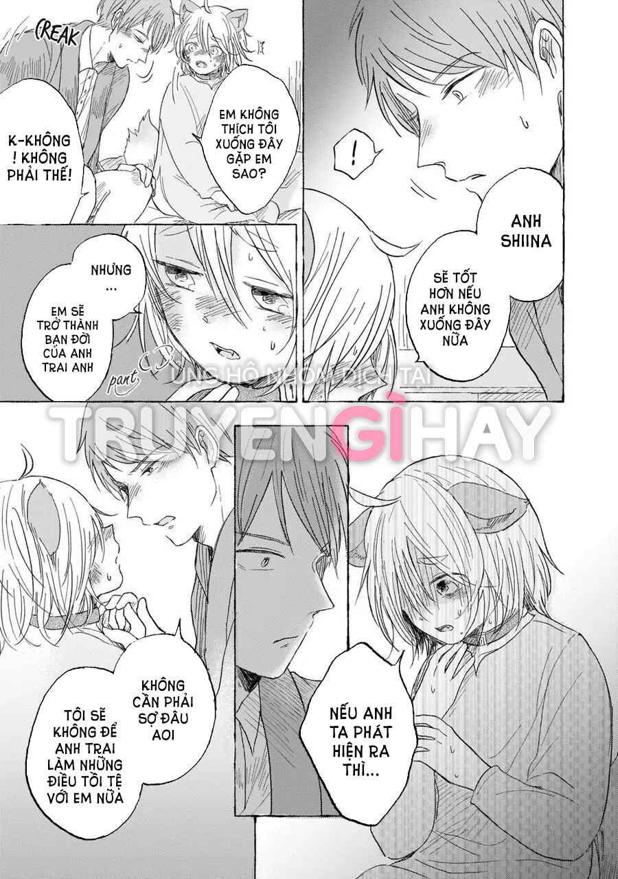 neko mimi omegaverse chapter 6.2 1