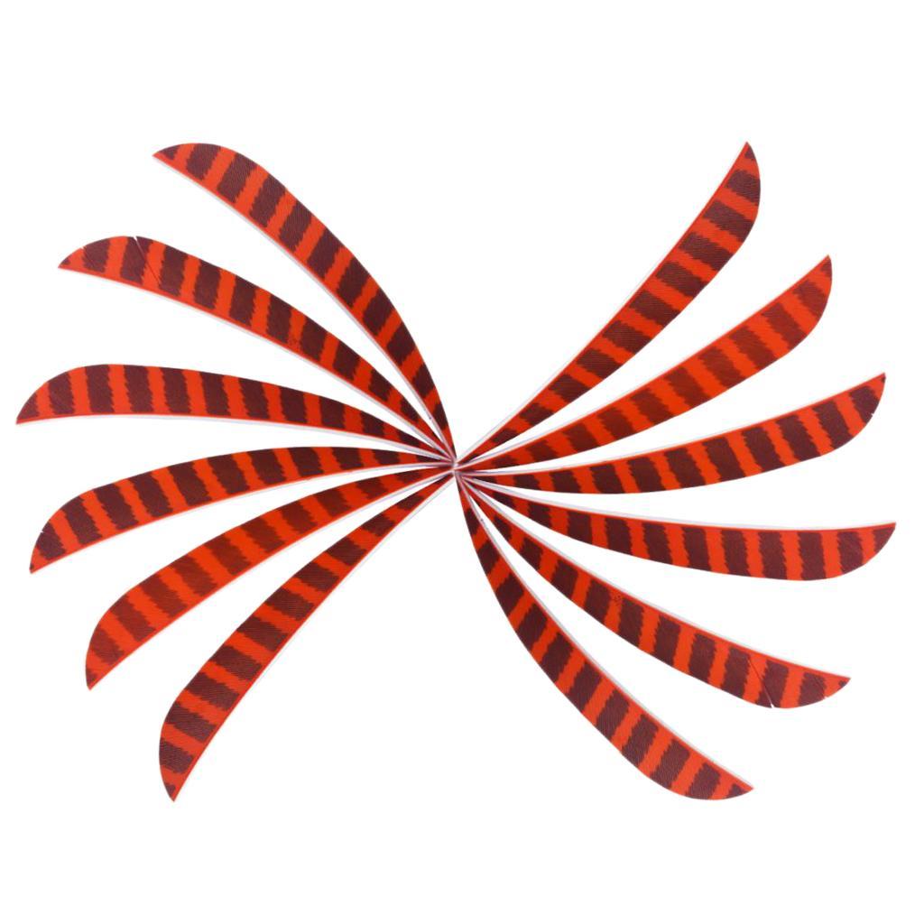 12 Pieces Arrow Vanes 4 Inch Plastic Feather Fletching DIY Archery Arrow - 6 Colors for Choose