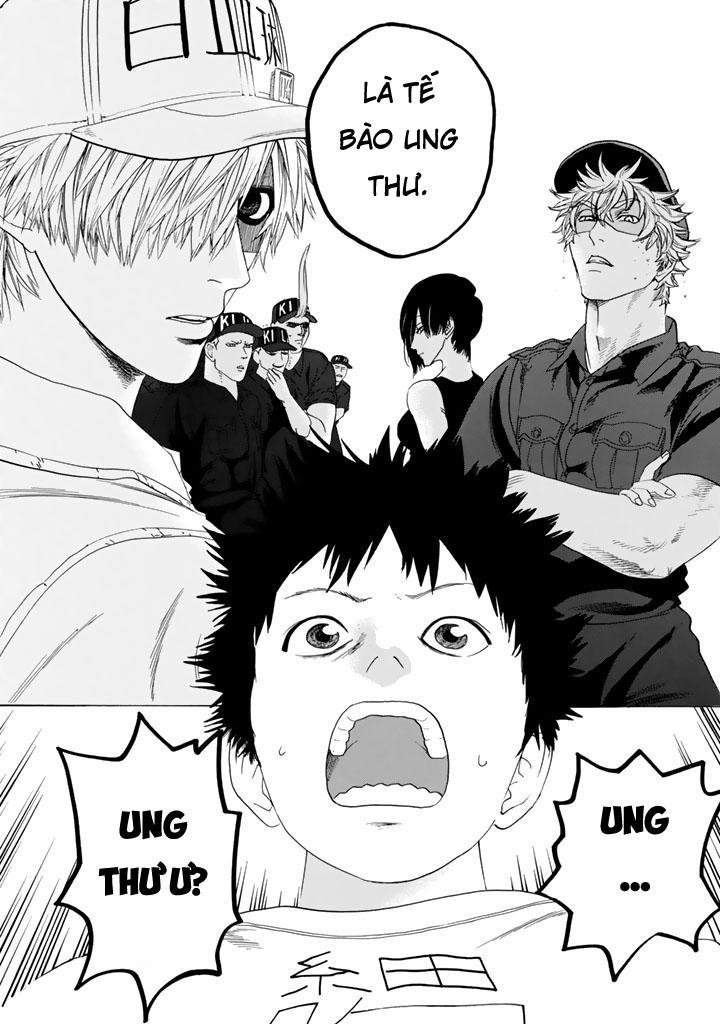 hataraku saibou! chapter 23 10