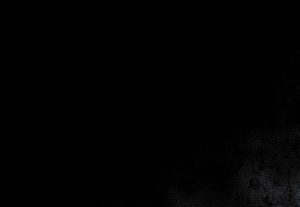 chiếm hữu trái tim bạo chúa chapter 7.2 73