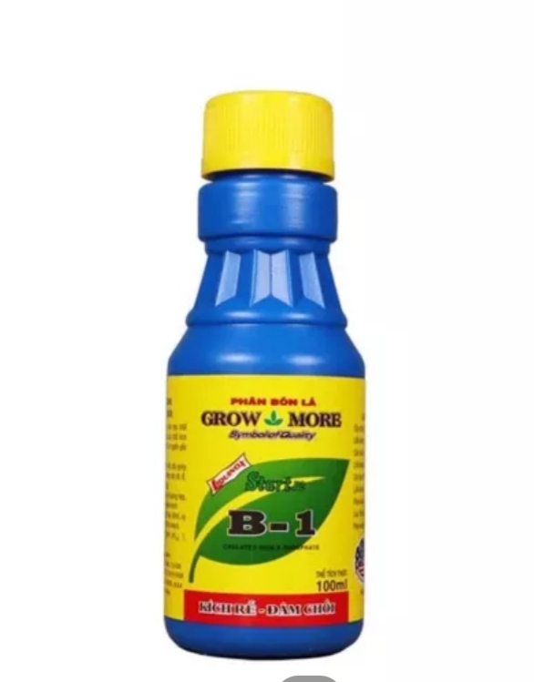 Combo chăm sóc phục hồi cây mai vàng sau Tết