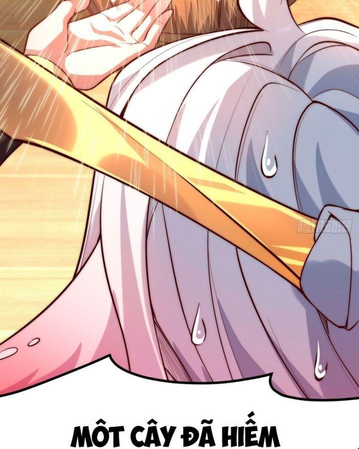 mở màn cống lên thái cổ tiên dược, ta khiến thánh chủ sợ chết khiếp chapter 2 54