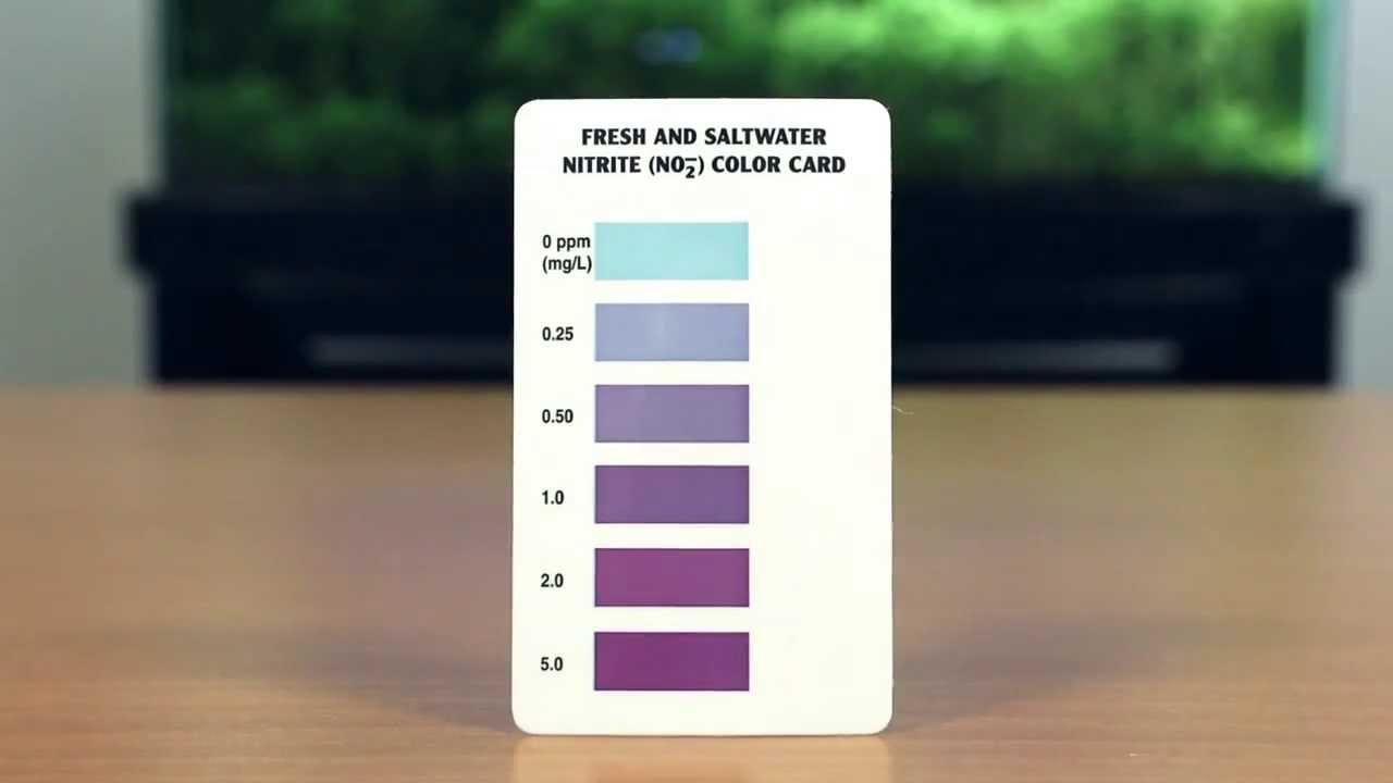 API NITRITE TEST KIT DÀNH CHO HỒ CÁ CẢNH