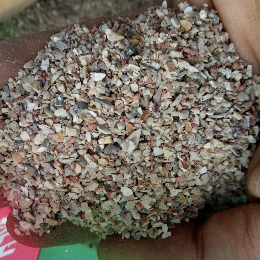 1KG KHOÁNG GRIF CHO CHIM,VẸT,FINCH,BẢY MÀU,BỒ CÂU,C.U GÁY,YẾN HÓT