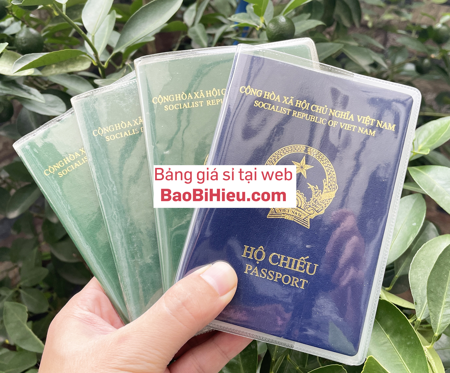 Vỏ Bọc Hộ Chiếu (Passport) Trong Suốt Có Khe Kẹp Vé Thẻ ATM Bền Bỉ Tiện Dụng