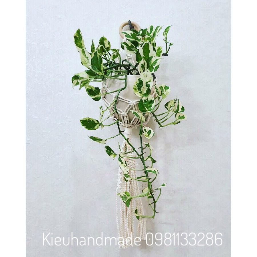 Giỏ treo cocoon nhỏ xinh - chất liệu macrame - trang trí nhà cửa, đồ decor
