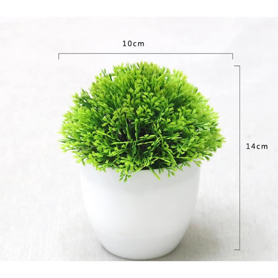 Chậu cây xanh nhân tạo để bàn trang trí, để kệ tủ độc đáo 10cm x 14cm (chọn màu