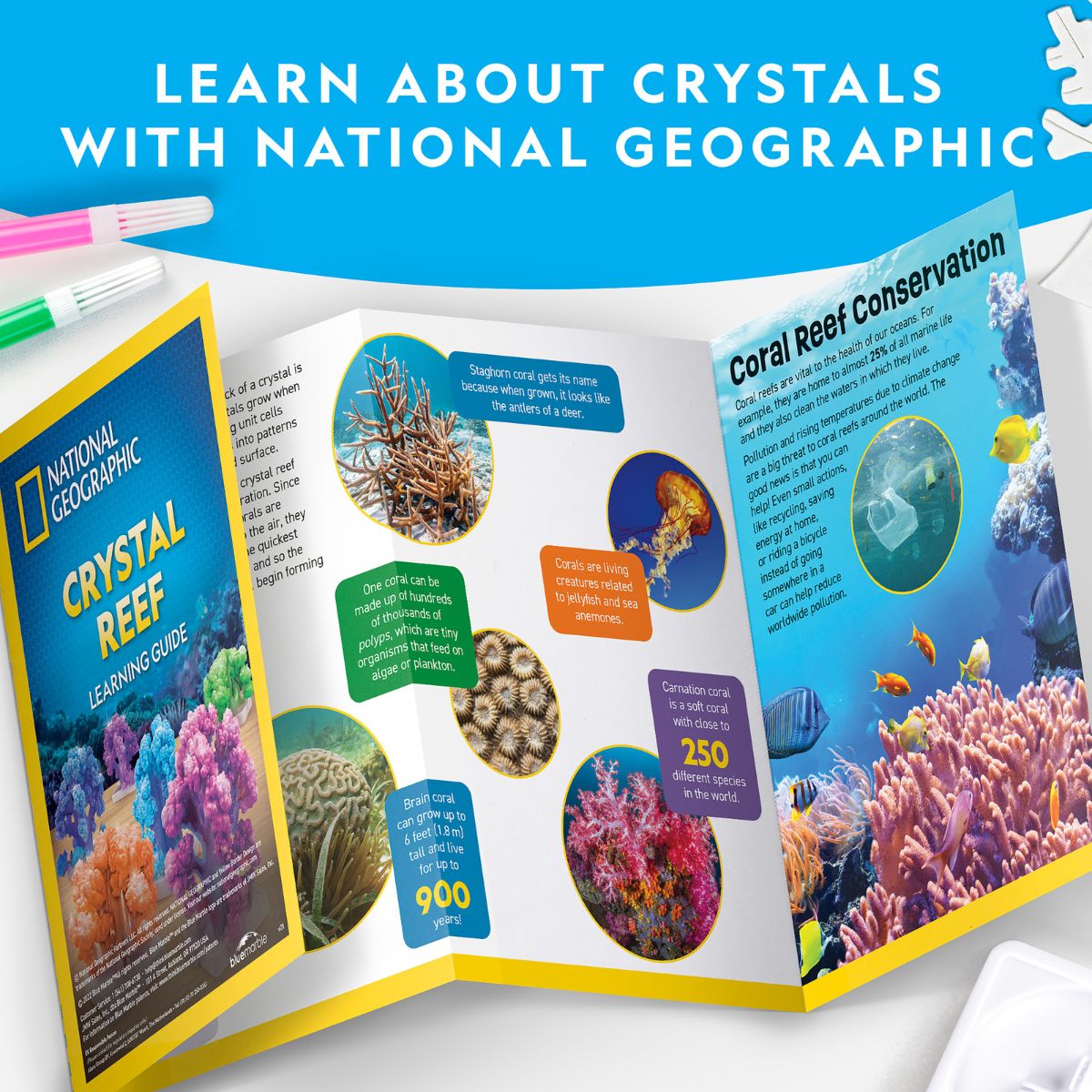 Đồ Chơi Bộ Thí Nghiệm Nuôi San Hô Tinh Thể Nat Geo STEAM RTCRYSHAB