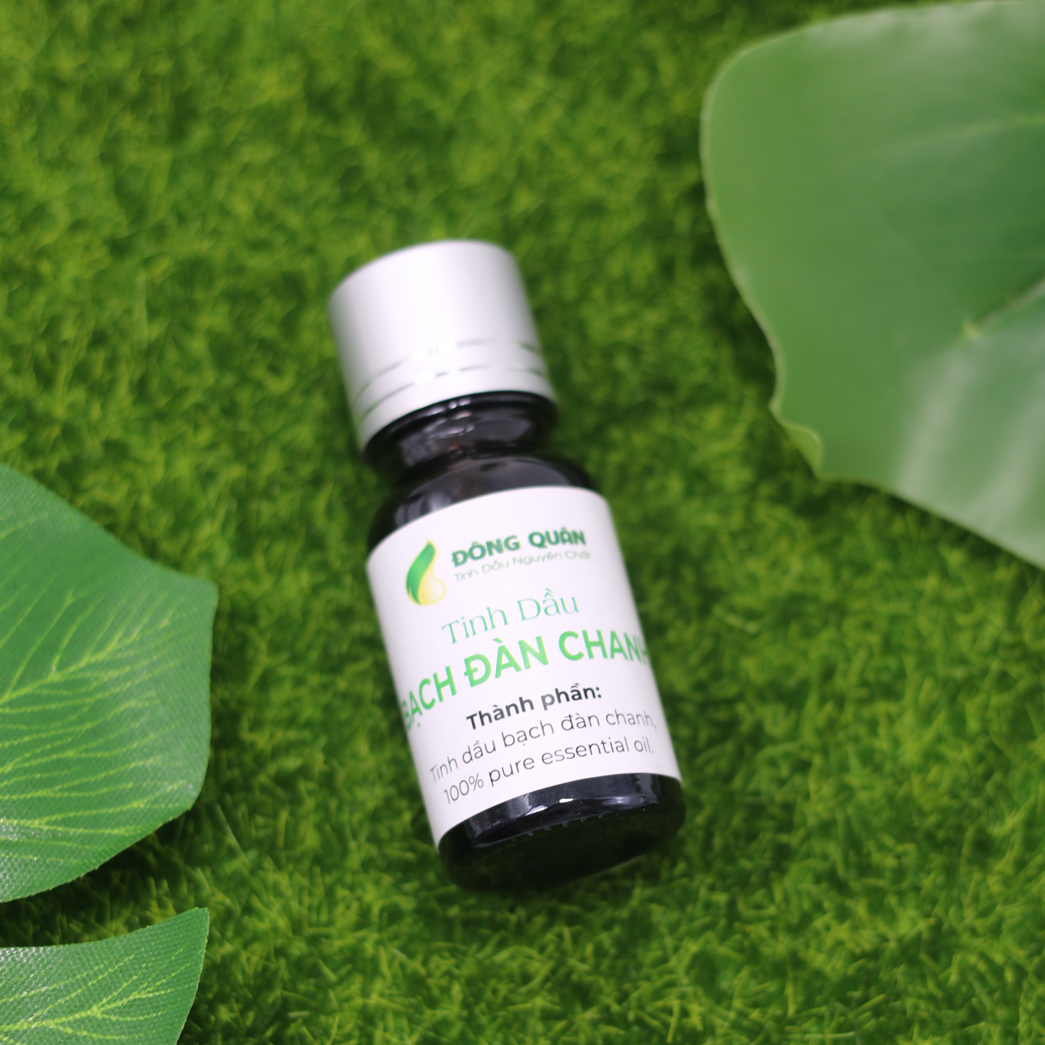 Tinh Dầu Bạch Đàn Chanh Nguyên Chất Đông Quân Có Tác Dụng Đuổi Muỗi Và Côn Trùng 10ml/lọ