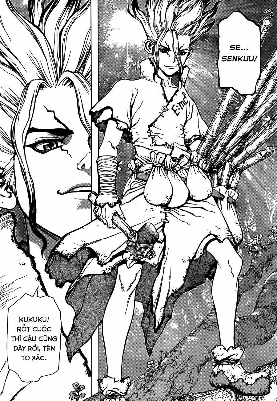 dr.stone - hồi sinh thế giới chapter 1 41