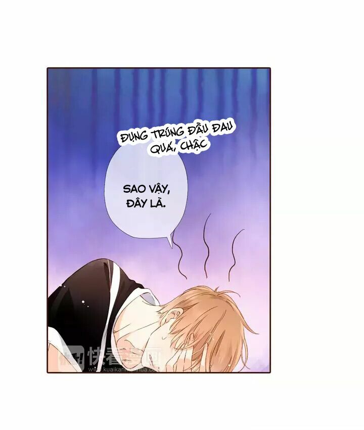 Tình yêu là màu hoa anh thảo chapter 30.1 25