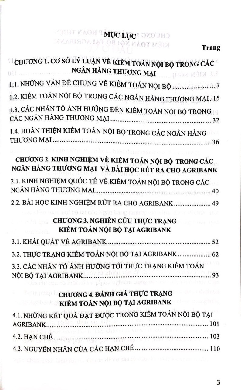 Kiểm Toán Nội Bộ Trong Các Ngân hàng Thương Mại Việt Nam - Nghiên Cứu Tại Agribank ( Sách Chuyên Khảo)