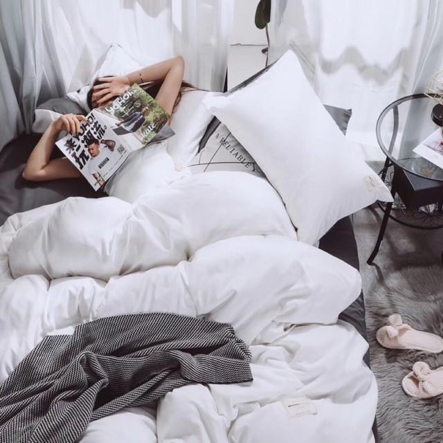 Bộ Chăn Ga Gối Cotton Đũi - Trắng Phối Ghi