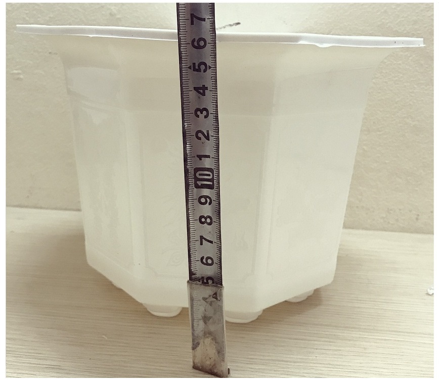 10 Chậu Nhựa Bát Giác 170x120 Màu Trắng