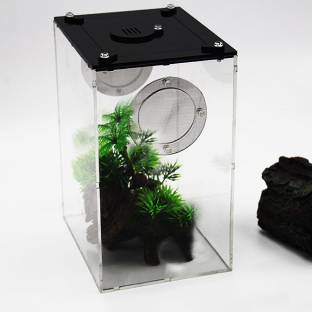 2pcs Reptile Feeding Box Transparent Cage Hatching Container For Lizards