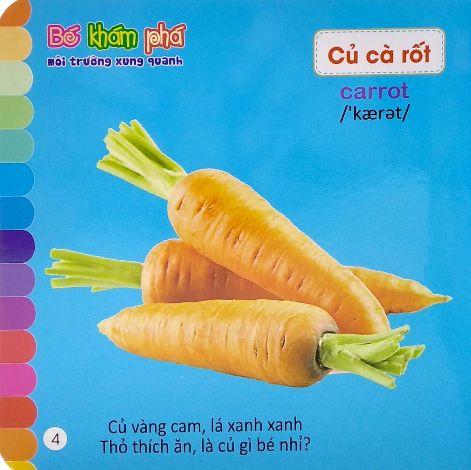 Bé Khám Phá Môi Trường Xung Quanh: Rau Củ - Vegetables