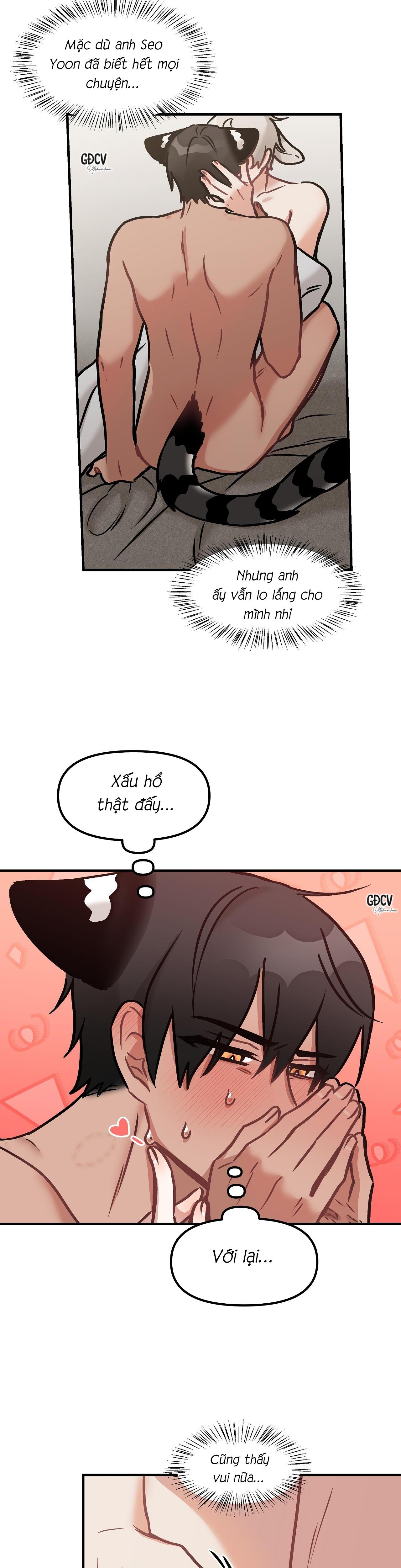 thưa ngài hổ, tôi đã ăn rất ngon miệng chapter 12 22