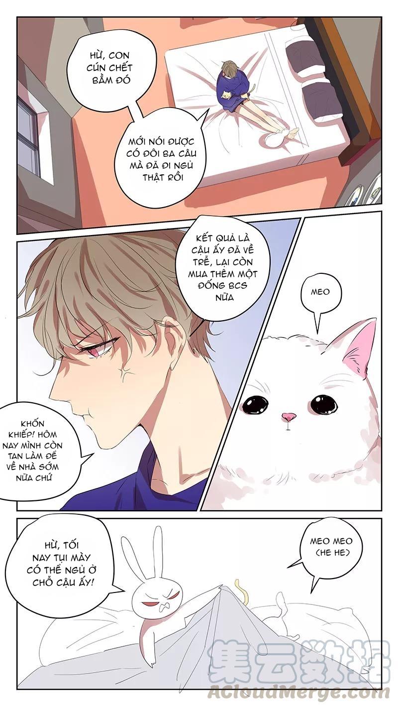 ghét cậu thích cậu chapter 65 8