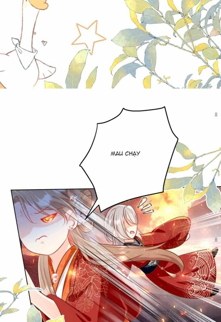 Mở Đầu Nữ Đế Làm Chính Cung chapter 168 29