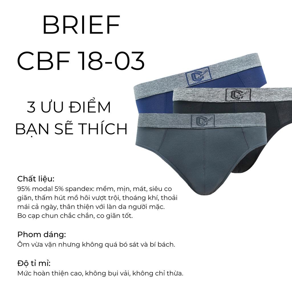 Quần lót nam Brief vải sợi sồi modal mềm mịn siêu co giãn thấm hút mồ hôi tốt thoáng khí ADINO mã CBF18-03