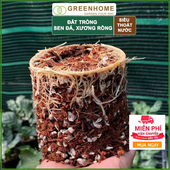 Bộ 2 Đất  SOIL MIX- Trồng sen đá, xương rồng-Giúp kích thích ra rễ, giữ các chất dinh dưỡng cho cây-(6KG/1 gói)