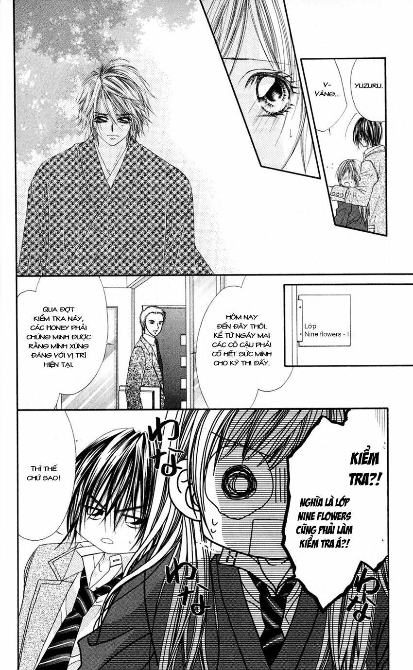 honey x honey drop chapter 14 5