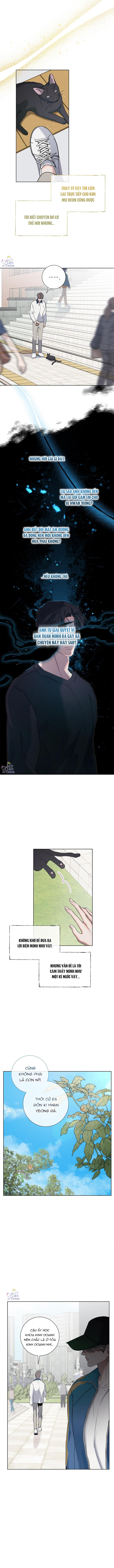 xé rách màn đêm chapter 8 7
